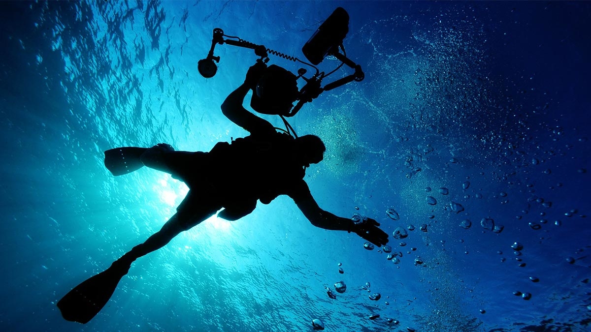 Scuba Dive and Explore the Underwater of Monterey