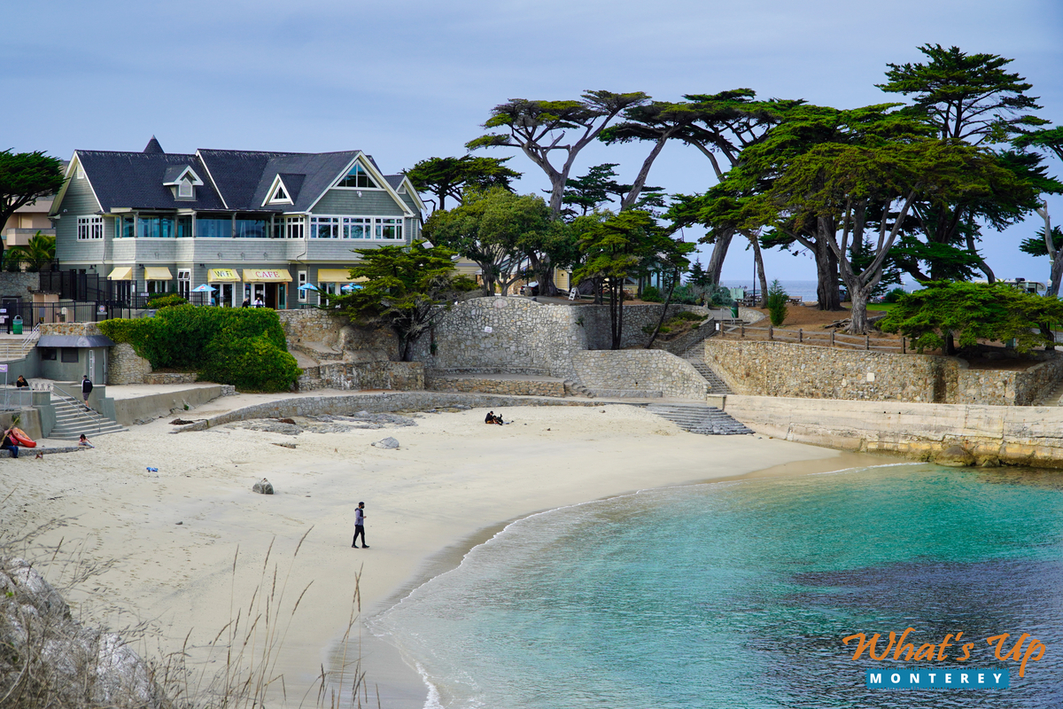 Top Reasons to Visit Pacific Grove