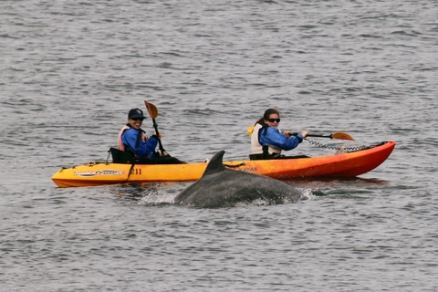 Monterey Bay Kayaks @ Monterey Beach