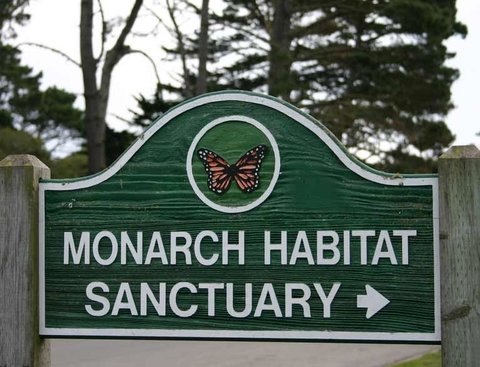 Monarch Grove Butterfly Sanctuary