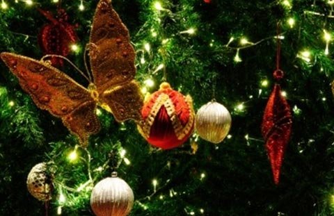 Pacific Grove Christmas Tree Lighting