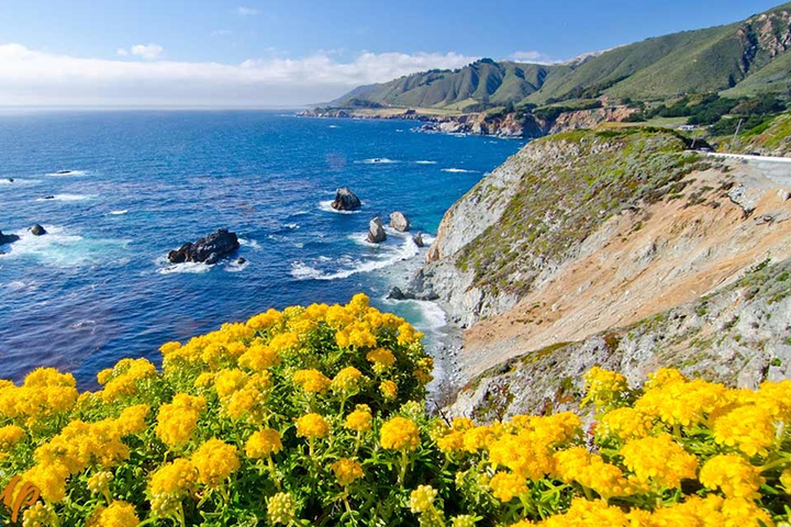 Reasons to Visit Monterey County in the Spring