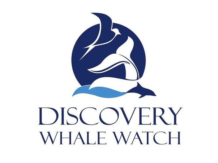 Discovery Whale Watch